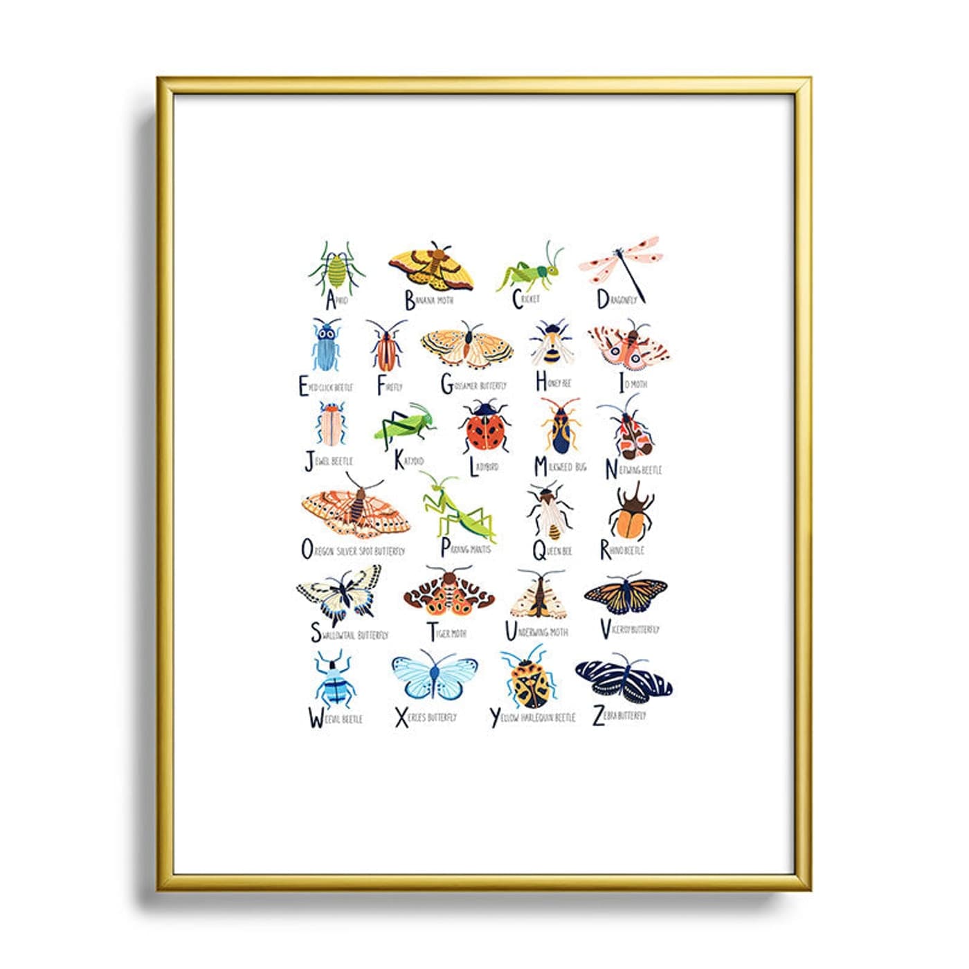 Insect Alphabet Framed Art Print by Ambers Textiles