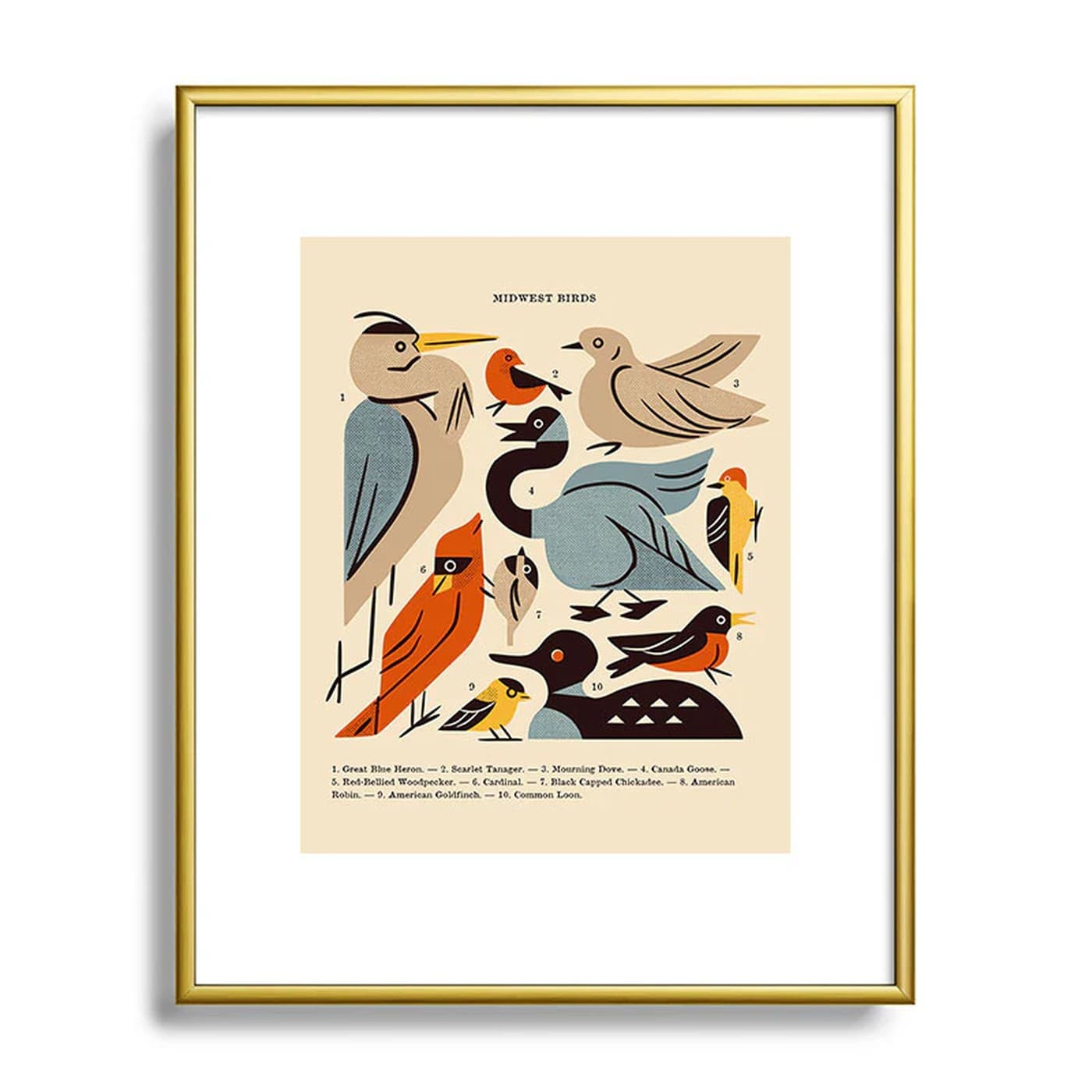 Midwest Birds Guide Framed Art Print by Renea L Thull