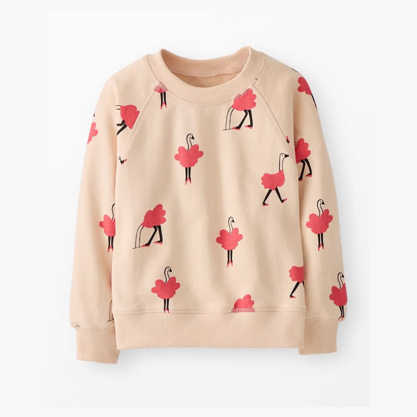 Hanna Andersson rainbow heart sweatshirt in Ollie on Light Pink